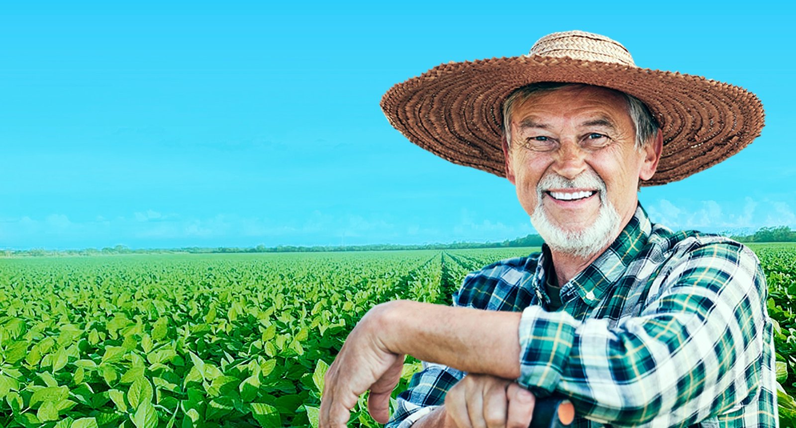 Agricultor sorrindo no campo