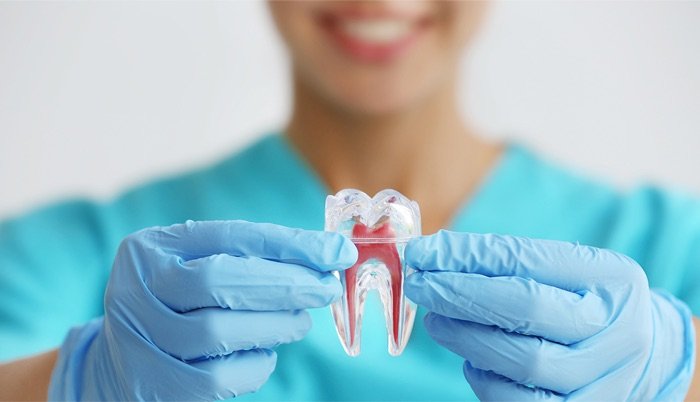 Endodontia
